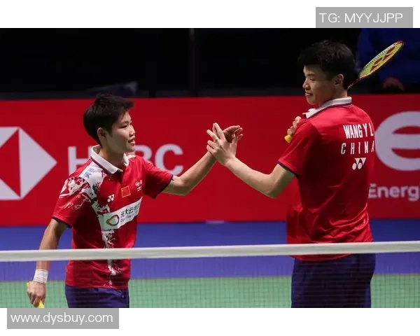 武汉羽毛球队与南京羽毛球队技术对决赛后分析与总结