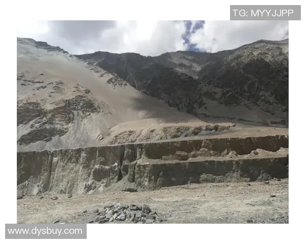 深度对话杨磊排球人生的成长与挑战之路探索 深度对话杨磊排球人生的成长与挑战之路探索